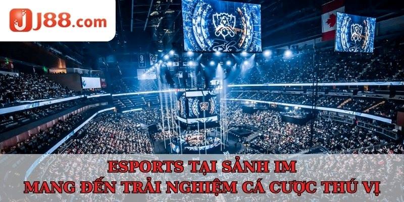 Esports tại sảnh IM mang đến trải nghiệm cá cược thú vị